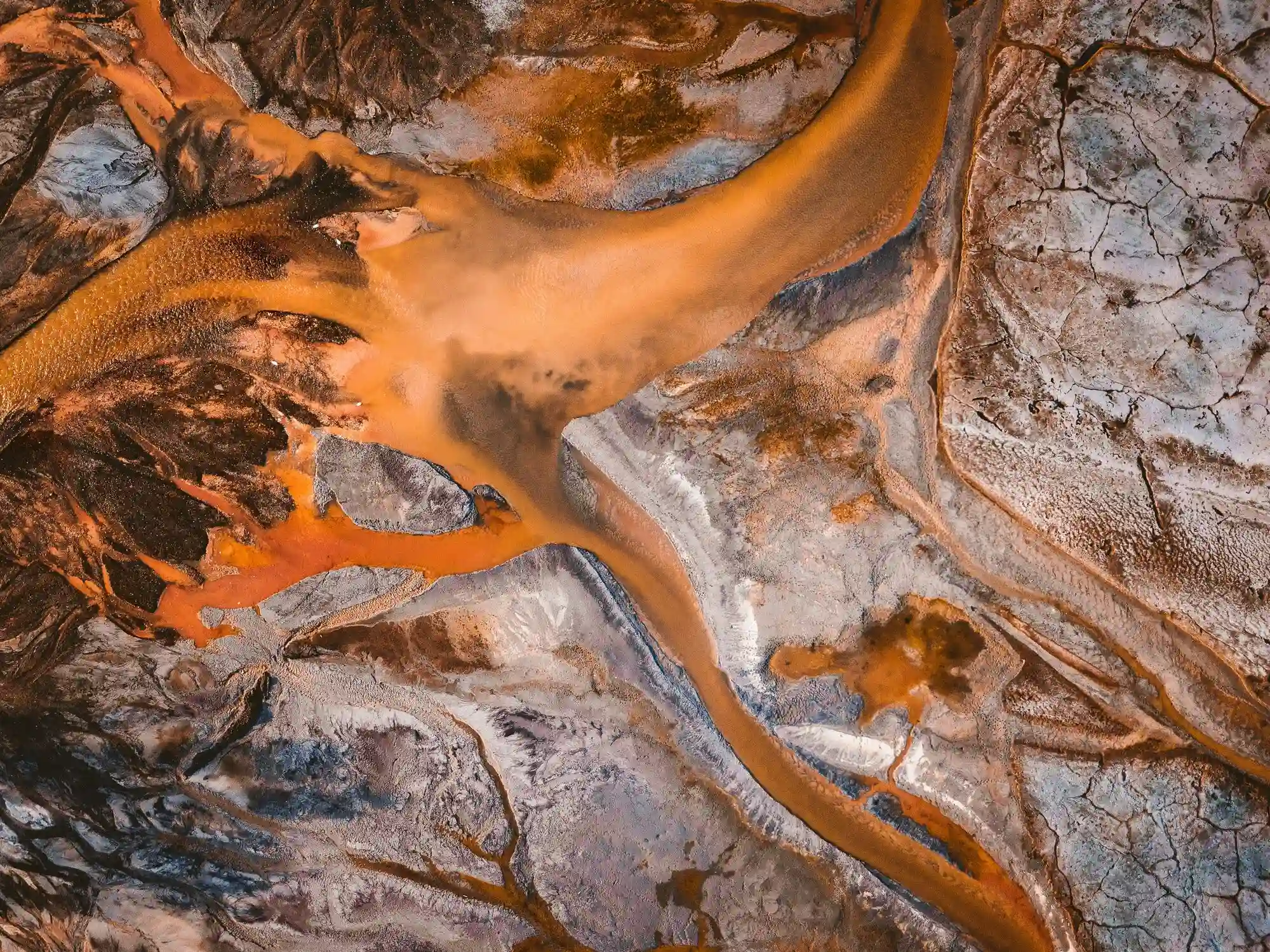 river in the forest